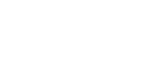 نیٹ گیمنگ logo